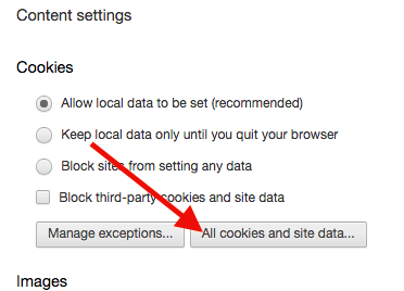 Then click "All Cookies and Site Data".